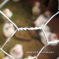 Galvanized Chicken Wire Hex Poultry Netting Roll Fencing